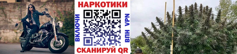 Виды наркотиков купить Щигры Конопля  COCAIN  БУТИРАТ  Мефедрон  блэк спрут рабочий сайт  A PVP  ГАШИШ  АМФЕТАМИН  Галлюциногенные грибы 