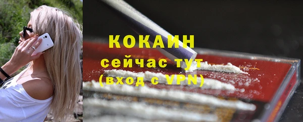 трава Магас