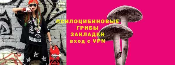 трава Магас