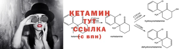 трава Магас