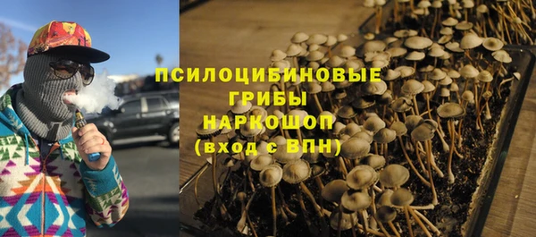 трава Магас