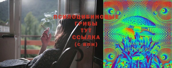 трава Магас